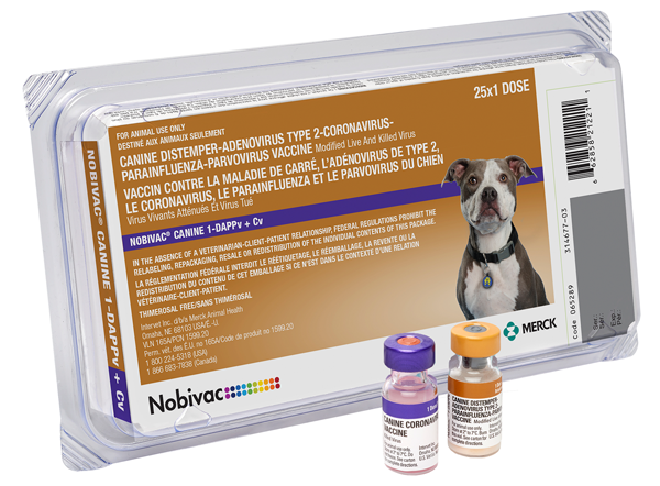 Recommended vaccination schedule