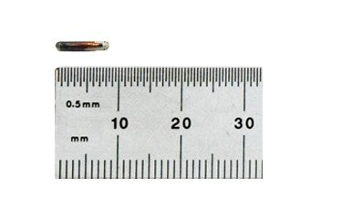 Merck Ruler Mini HPT8 Pit Tag - Merck Animal Health USA