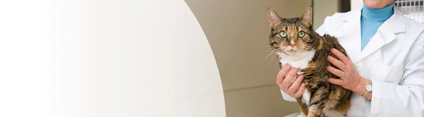 Feeding Schedule - Merck Animal Health USA