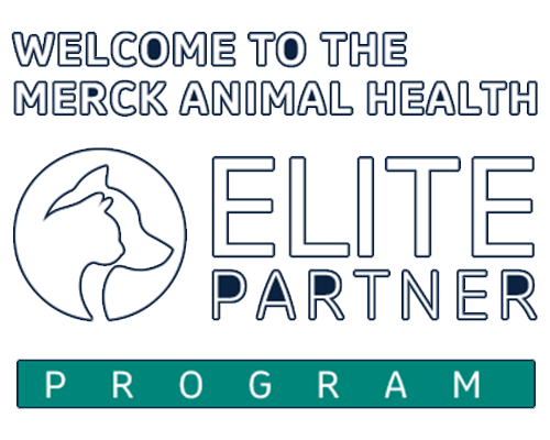 Elite-Partner-2025