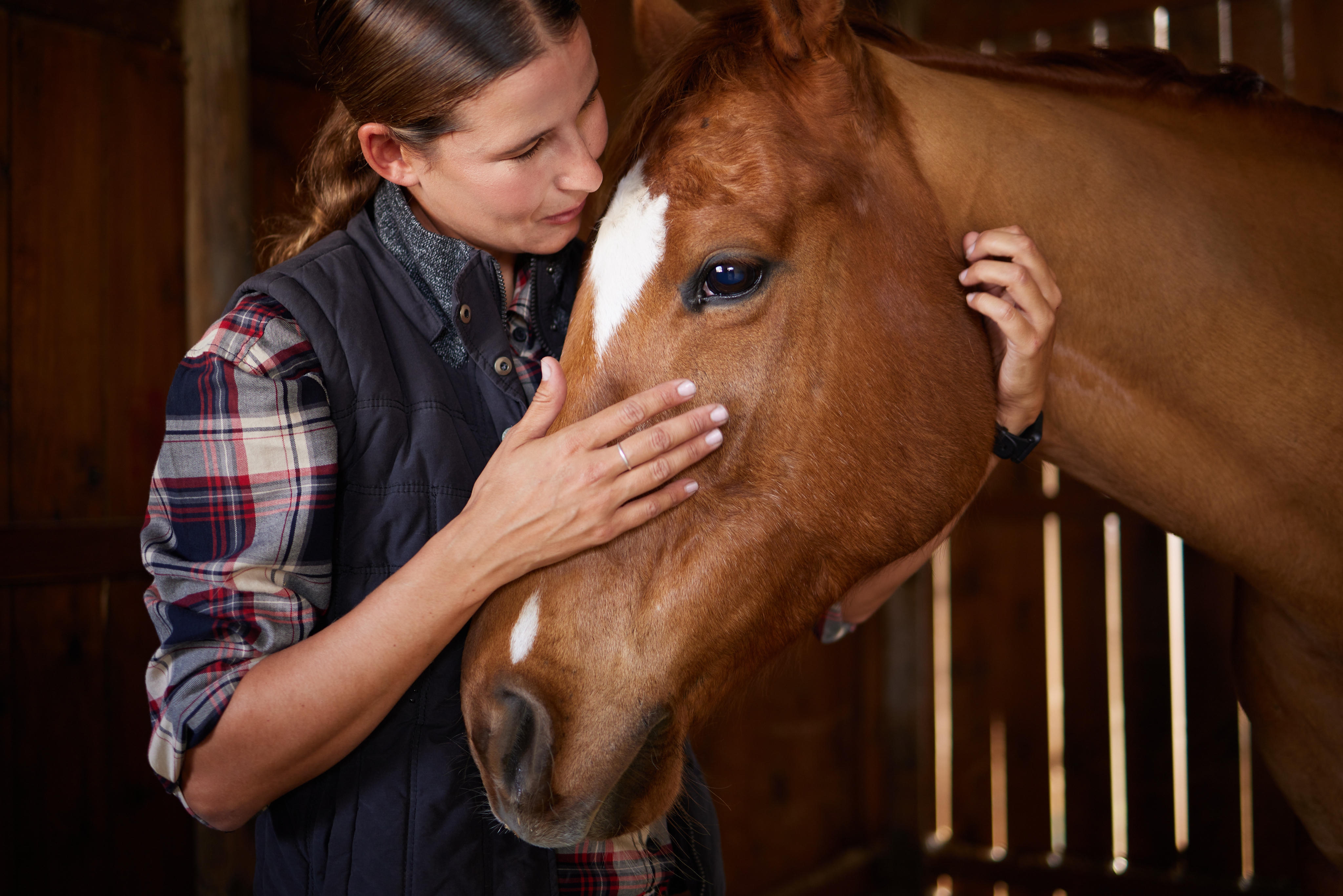 Equine Owners & Professionals