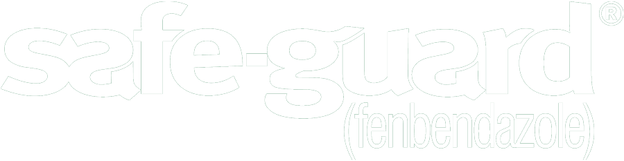Safe-Guard-logo-white