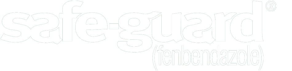 Safe-Guard-logo-white