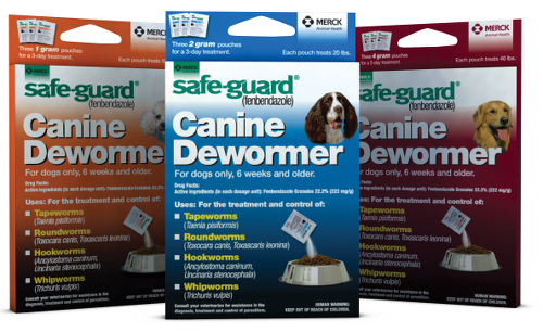 SAFE-GUARD® CANINE | Merck Animal Health USA