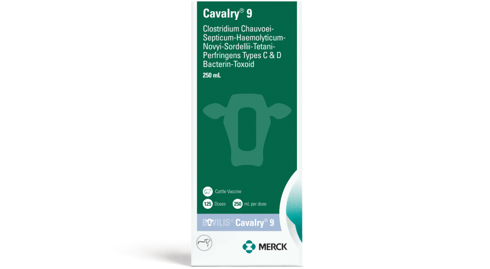Cavalry-9