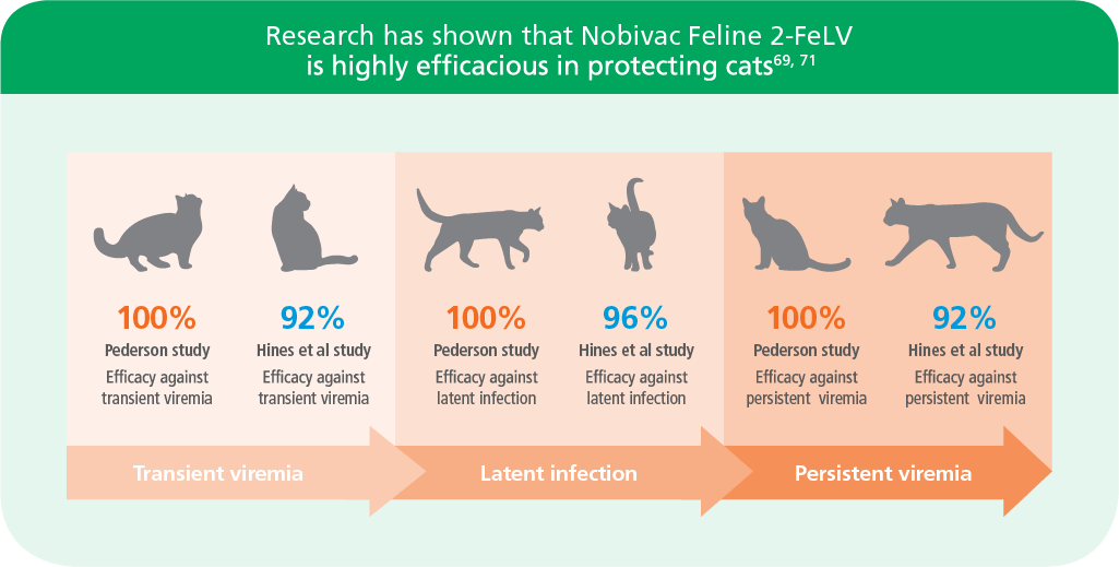 Nobivac® Feline 2-FeLV | Merck Animal 