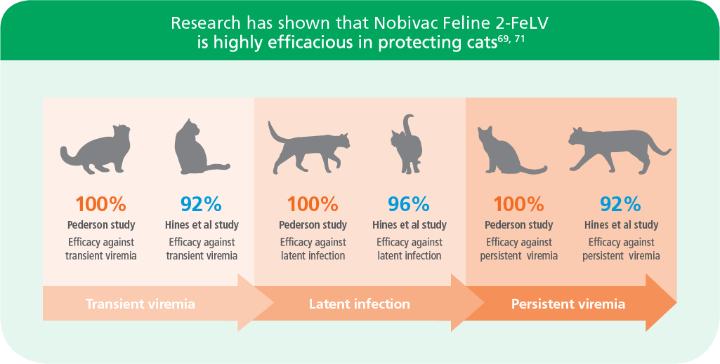 4 in 1 vaccine cats