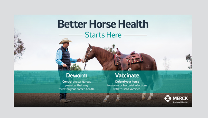 Better Horse Health Social Media
