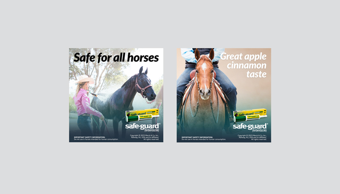 Two Safe-Guard Equine eCommerce ad images