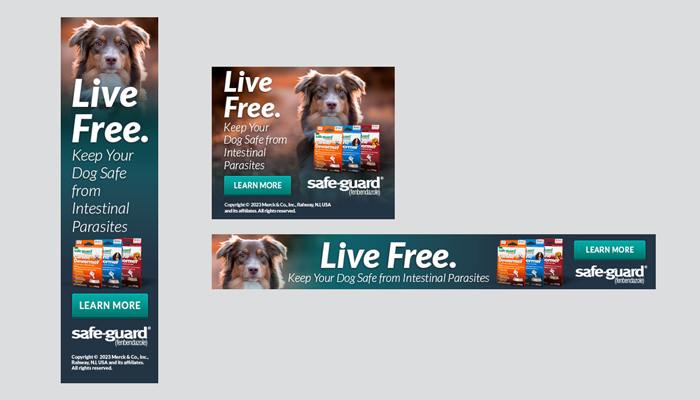 Live Free Safe-Guard Canine Digital Ad Images