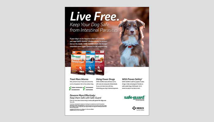 Live Free Safe-Guard Print Ad