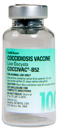 COCCIVAC-B52