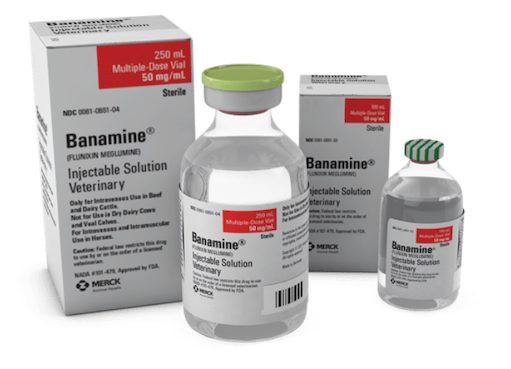 BANAMINE® (flunixin meglumine injection) | Merck Animal Health USA BANAMINE® (flunixin meglumine injection) | Merck Animal Health USA