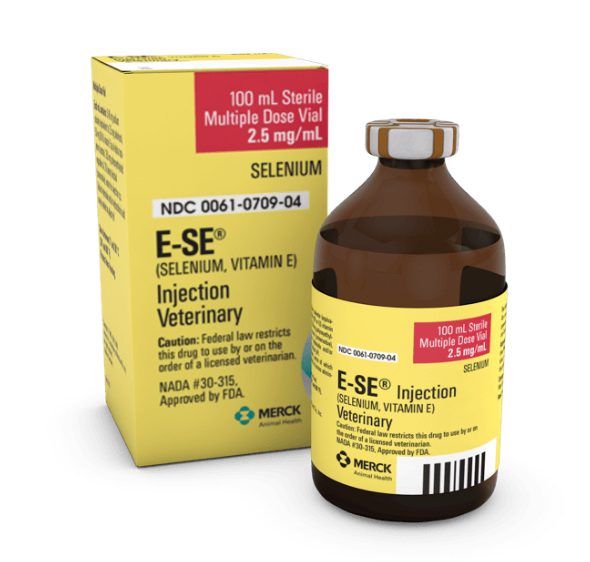 E-SE