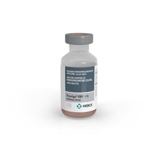 PRESTIGE® EHV 1&4 vial