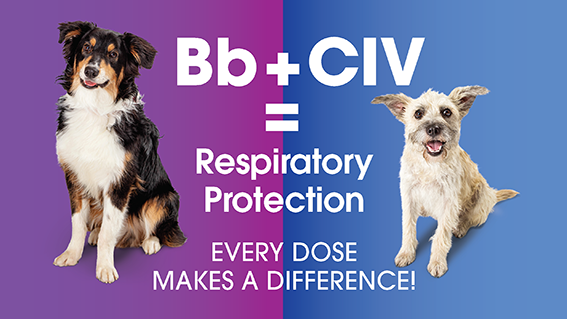 Canine respiratory protection
