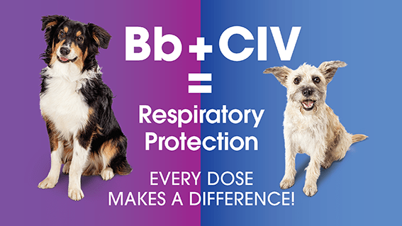 Canine respiratory protection