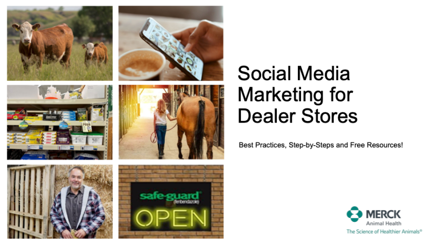 Social Media Marketing Guide for Dealer Stores