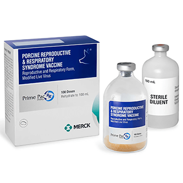 porcine reproductive and respiratory syndrome vaccine
