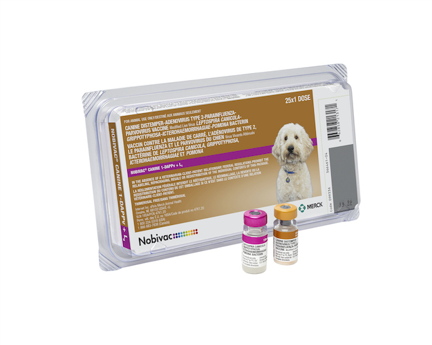 Nobivac® Canine 1-DAPPv+L4 | Merck Animal Health USA