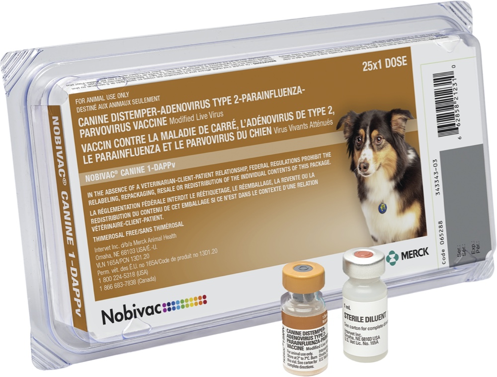 Infectious Canine Hepatitis | Merck Animal Health USA