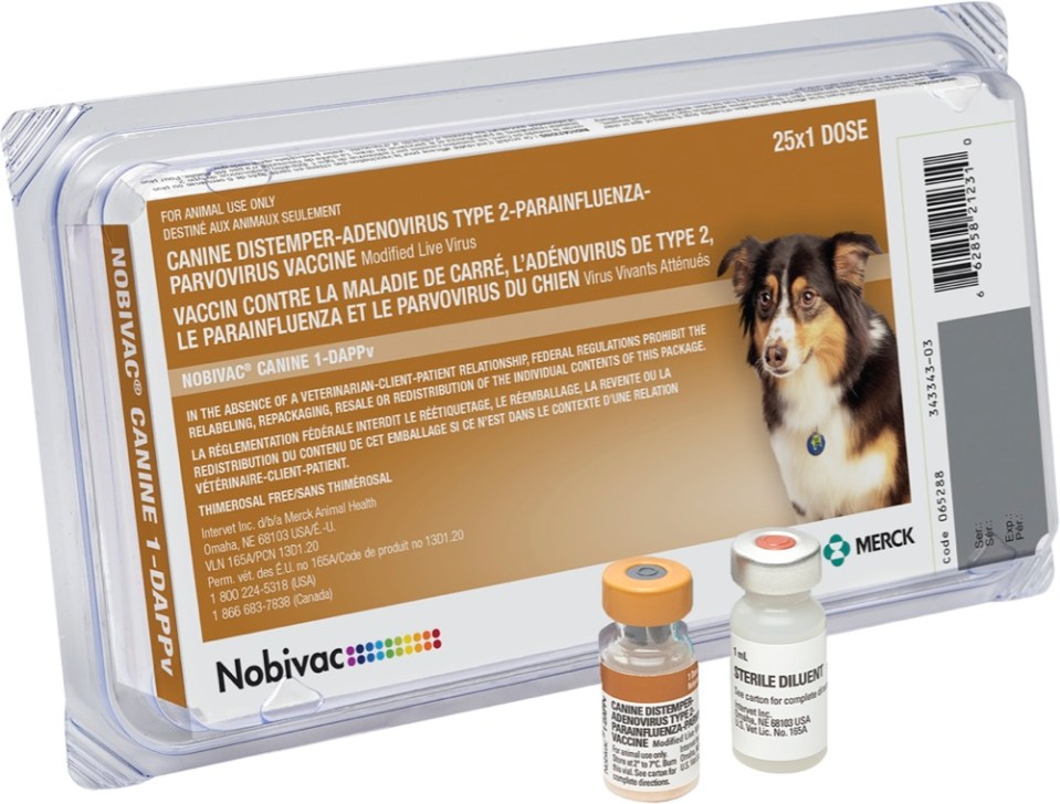 what does a distemper shot do for a dog