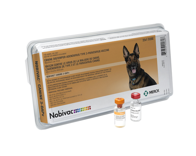 Nobivac® Canine 3-DAPv | Merck Animal Health USA