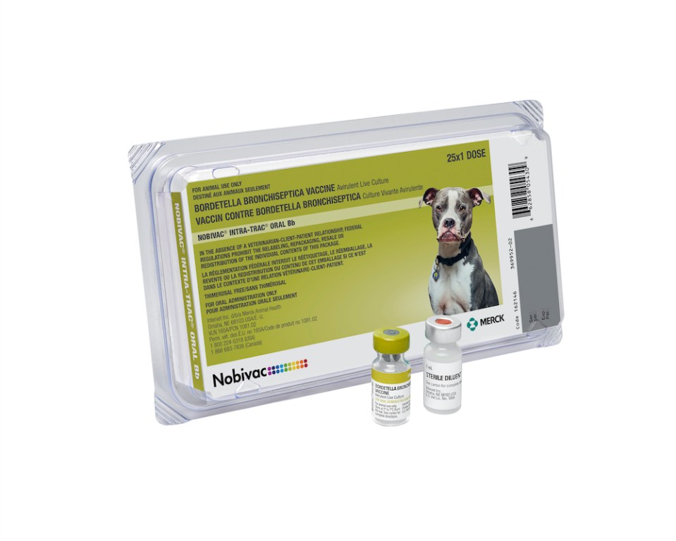 nobivac-intra-trac-oral-bb-merck-animal-health-usa