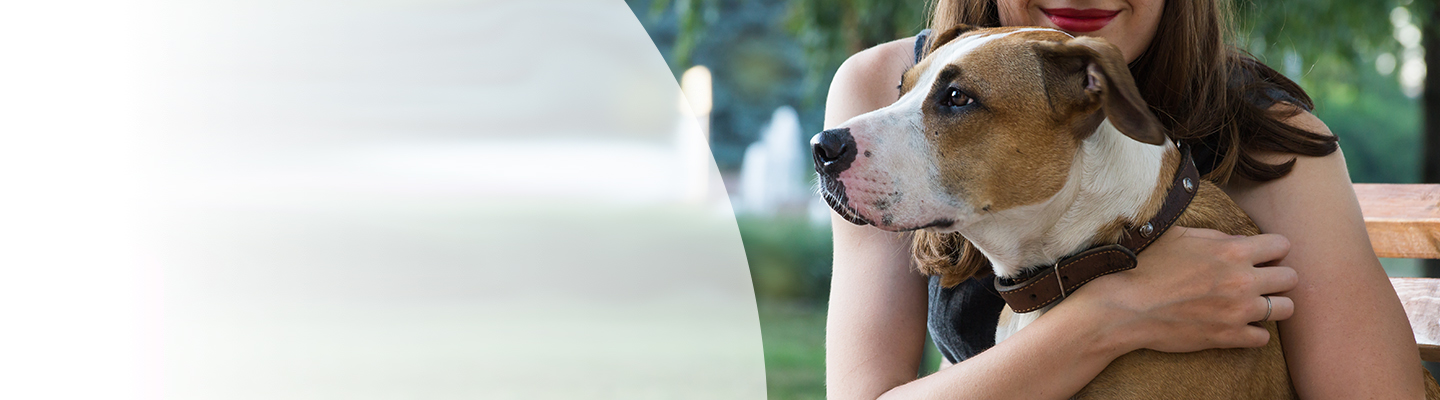 Canine Rabies | Merck Animal Health USA