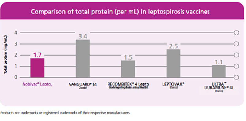 lepto 4 vaccine 2018