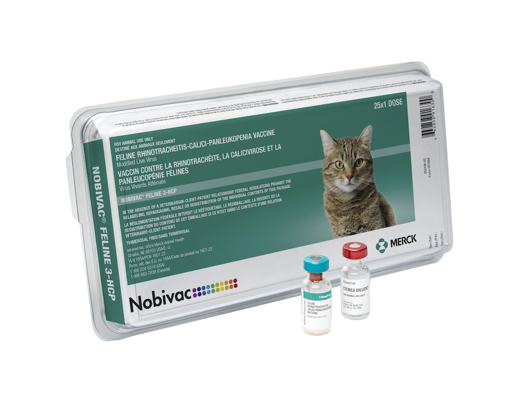 Фелоцел вакцина для кошек цена