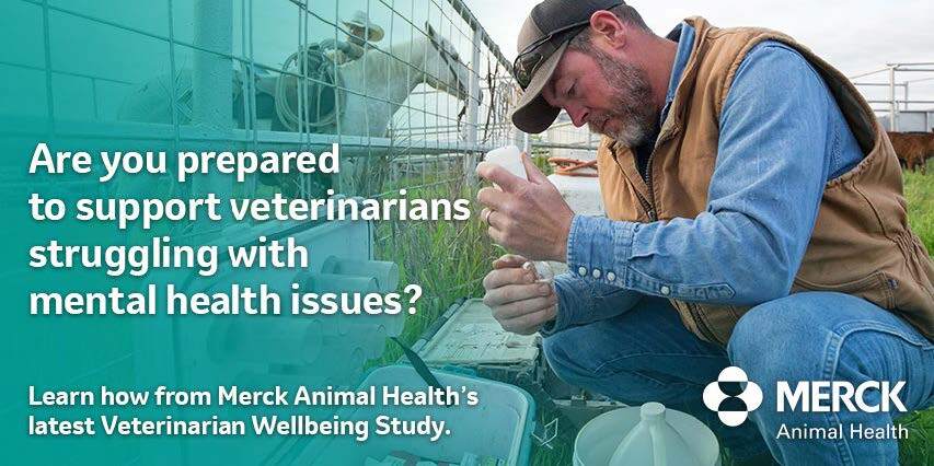 Helping veterinarians flourish podcast | Merck Animal Health USA
