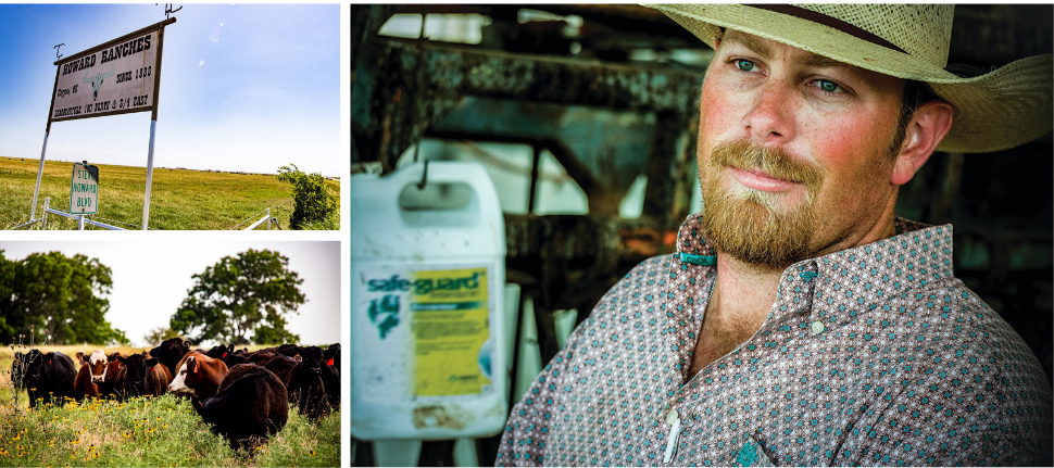 Howard Ranch using SAFE-GUARD for their cattle