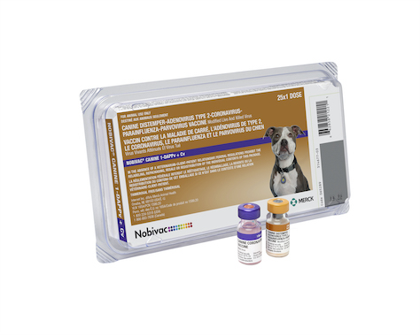 nobivac canine 1 dappv cv product