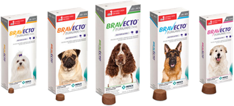 bravecto k9