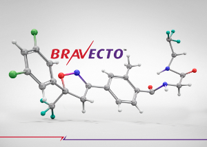 bravecto translations parasites merck