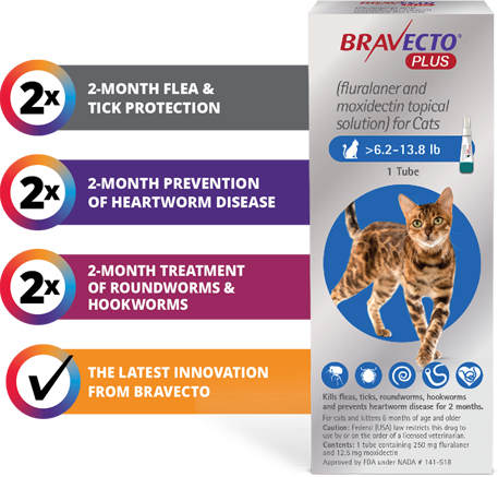 BRAVECTO® PLUS for Cats | Merck Animal 