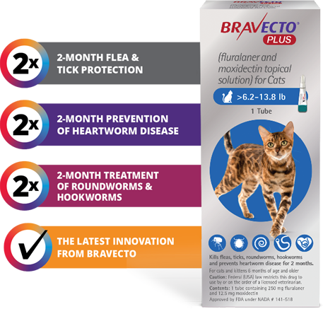 cat flea bravecto