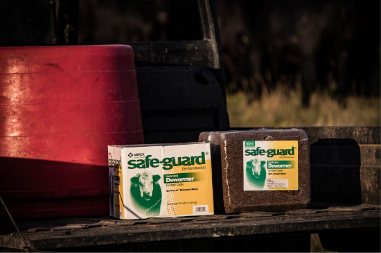SAFE-GUARD Blocks