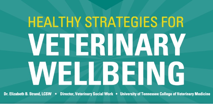 Veterinary Wellbeing Study | Merck Animal Health USA