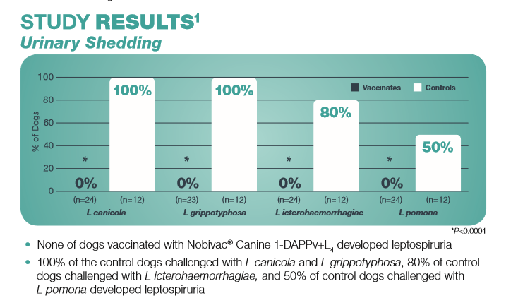 lepto 4 vaccine 2018