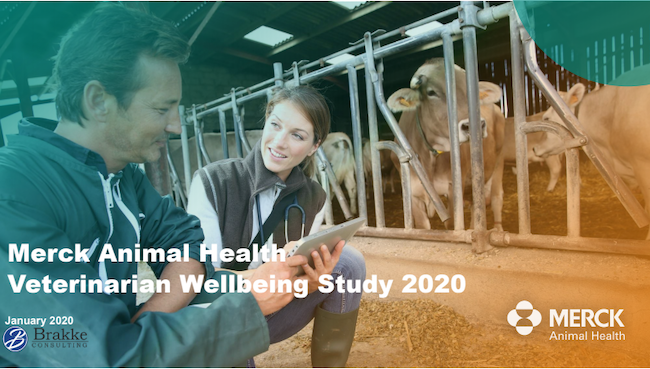 Veterinary Wellbeing Study 2020 | Merck Animal Health USA