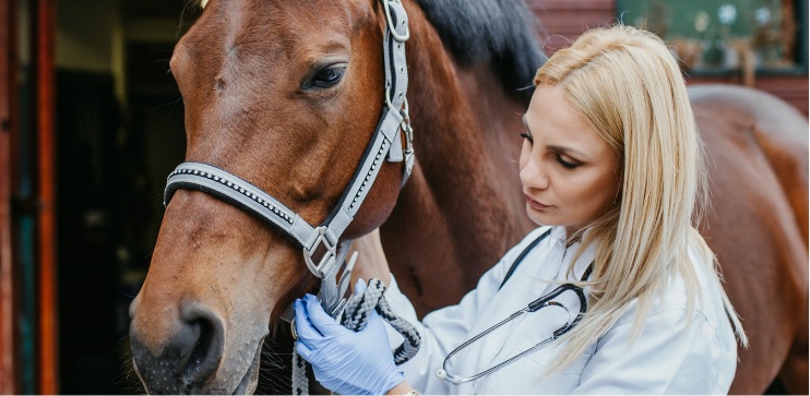 woman with stethoscope standing with horse