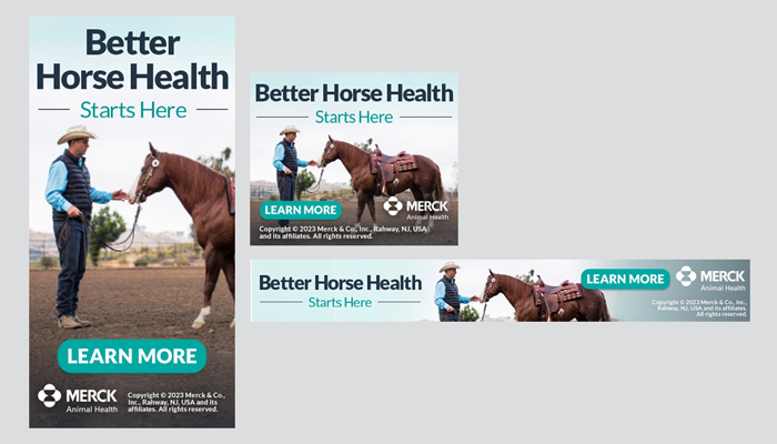 Better Horse Health Banner Ads