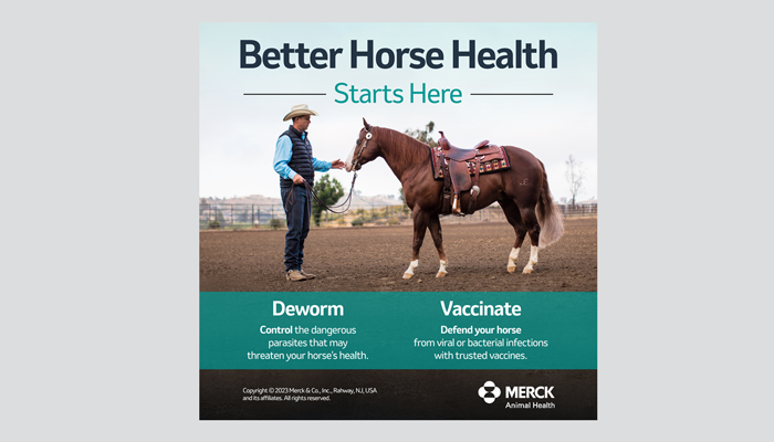 Better Horse Health eCommerce Images