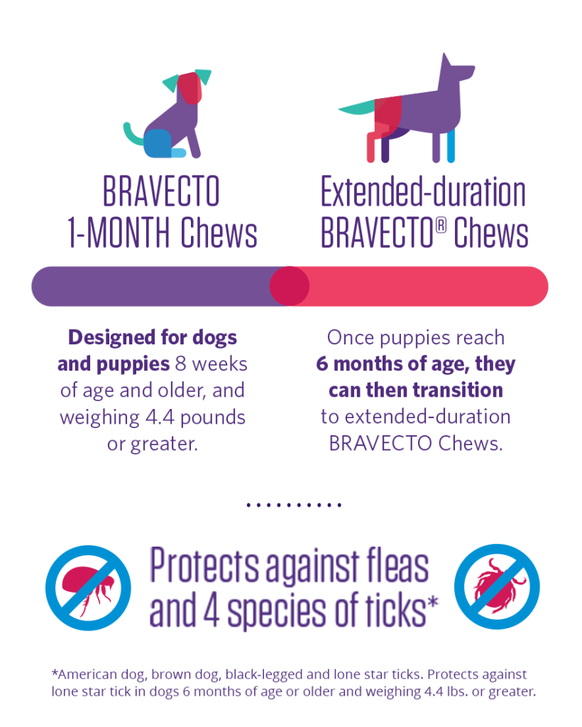 Bravecto Flea/Tick Chewable for Dogs (1 chew = 3 months protection