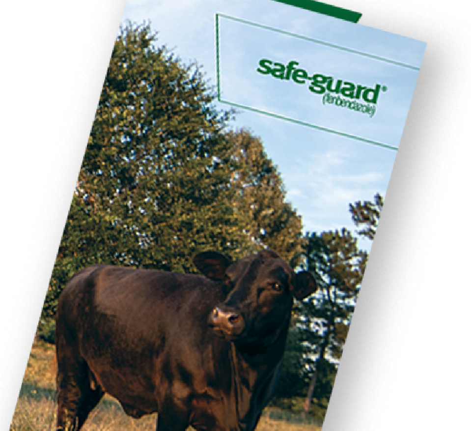 SAFE-GUARD FECRT brochure