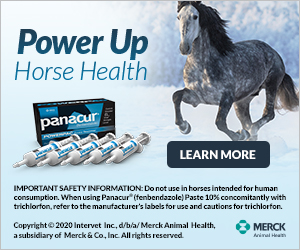 Power-Up Horse Health Digital Banners
