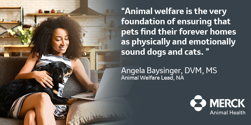 Ensuring Animal Welfare in Our Shelters | Merck Animal Health USA