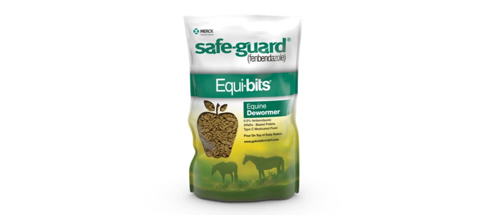 Safe-Guard EquiBits